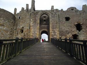 535008_596520790420273_1452269725_n