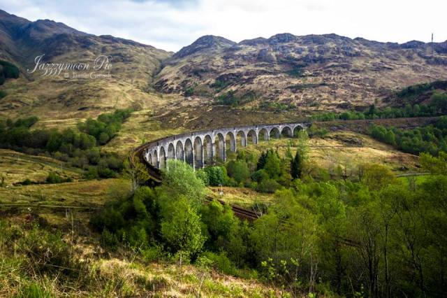 10703739_936454733036768_3464763124165131818_n